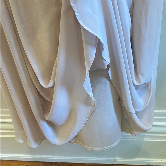 Alex Evenings Elegant Beige Maxi Dress - Picture 4 of 4